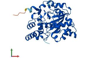 Protein Structure (PS) image for Sulfotransferase Family 1E Member 1 (SULT1E1) (AA 1-295) protein (His tag) (ABIN7563349)