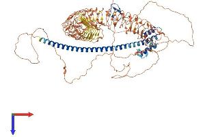 AlphaFold protein structure predicition of Human Recombinant TEX13C Protein, UniprotID A0A0J9YWL9 (TEX13C Protein (AA 1-993) (His tag))