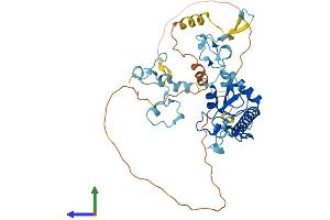 AlphaFold protein structure predicition of Human Recombinant MKRN2 Protein, UniprotID Q9H000