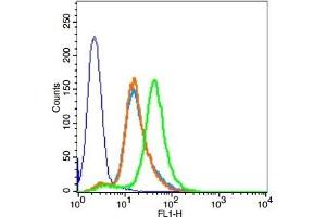 Flow Cytometry (FACS) image for anti-Solute Carrier Family 15 (Oligopeptide Transporter), Member 1 (SLC15A1) (AA 101-200) antibody (ABIN671961)