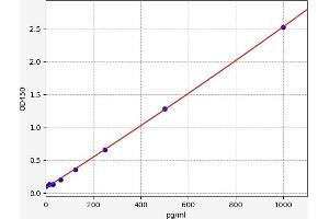 Typical standard curve (CCL13 ELISA 试剂盒)
