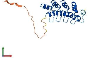 Protein Structure (PS) image for Ankyrin Repeat Domain 39 (ANKRD39) (AA 1-183) protein (His tag) (ABIN7552158)