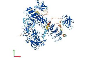 Protein Structure (PS) image for Mindbomb E3 Ubiquitin Protein Ligase 1 (MIB1) (AA 1-1006) protein (His tag) (ABIN7564225)