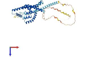 KCNK4 Protein (AA 1-393) (His tag)