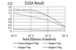 Black line: Control Antigen (100 ng),Purple line: Antigen (10 ng), Blue line: Antigen (50 ng), Red line:Antigen (100 ng) (SH3GL1 抗体  (AA 12-119))
