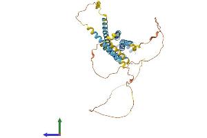Protein Structure (PS) image for Gap Junction Protein, gamma 2, 47kDa (GJC2) (AA 1-439) protein (His tag) (ABIN7546932)