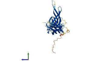 AlphaFold protein structure predicition of Mouse Recombinant Arrdc5 Protein, UniprotID Q497K5