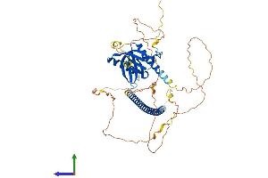 Protein Structure (PS) image for Nitric Oxide Synthase 1 (Neuronal) Adaptor Protein (NOS1AP) (AA 1-506) protein (His tag) (ABIN7552921)