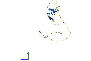 Protein Structure (PS) image for Emerin (EMD) (AA 1-254) protein (His tag) (ABIN7553799)
