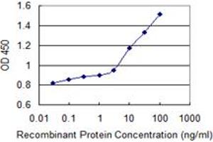 Detection limit for recombinant GST tagged ARSB is 1 ng/ml as a capture antibody. (Arylsulfatase B 抗体  (AA 166-265))