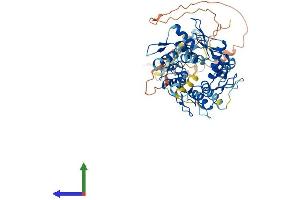 AlphaFold protein structure predicition of Human Recombinant ZNF136 Protein, UniprotID P52737 (ZNF136 Protein (AA 1-540) (His tag))