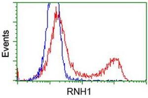 HEK293T cells transfected with either RC208360 overexpress plasmid (Red) or empty vector control plasmid (Blue) were immunostained by anti-RNH1 antibody (ABIN2453614), and then analyzed by flow cytometry. (RNH1 抗体)