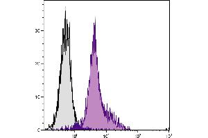 BALB/c mouse splenocytes were stained with Rat Anti-Mouse CD11a-UNLB. (小鼠 anti-大鼠 IgG2a Antibody (FITC))