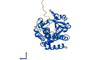 Protein Structure (PS) image for Sulfotransferase Family, Cytosolic, 1C, Member 2 (SULT1C2) (AA 1-296) protein (His tag) (ABIN7544031)
