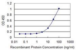 Detection limit for recombinant GST tagged RNF150 is 1 ng/ml as a capture antibody. (RNF150 抗体  (AA 67-176))