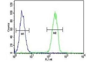 Caspase-5 antibody flow cytometric analysis of MDA-MB231 cells (right histogram) compared to a negative control cell (left histogram). (CASP5 抗体  (AA 162-191))