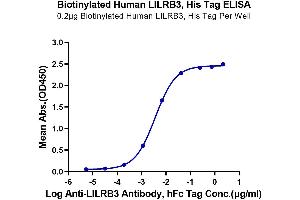 Immobilized Biotinylated Human LILRB3, His Tag at 2 μg/mL (100 μL/well) on the streptavidin precoated plate (5 μg/mL). (LILRB3 Protein (AA 24-443) (His-Avi Tag,Biotin))