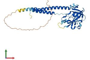 Protein Structure (PS) image for Surfeit 1 (SURF1) (AA 1-306) protein (His tag) (ABIN7562783)