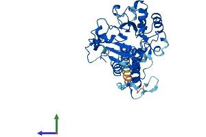 Protein Structure (PS) image for ST3 beta-Galactoside alpha-2,3-Sialyltransferase 3 (ST3GAL3) (AA 1-375) protein (His tag) (ABIN7546096)