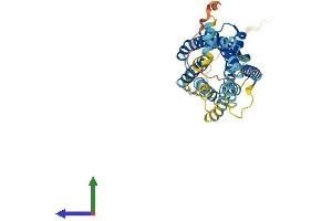 AlphaFold protein structure predicition of Mouse Recombinant Ccr10 Protein, UniprotID Q9JL21