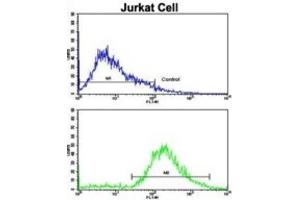 Flow Cytometry (FACS) image for anti-Vasoactive Intestinal Peptide (Vip) antibody (ABIN3002683) (Vip 抗体)