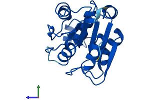 Protein Structure (PS) image for Retinoblastoma Binding Protein 9 (RBBP9) (AA 1-186) protein (His tag) (ABIN7551179)