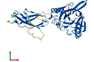 Protein Structure (PS) image for Phytanoyl-CoA 2-Hydroxylase Interacting Protein (PHYHIP) (AA 1-330) protein (His tag) (ABIN7550712)