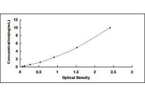 Typical standard curve (CLDN8 ELISA 试剂盒)