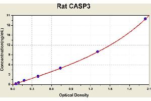 Diagramm of the ELISA kit to detect Rat CASP3with the optical density on the x-axis and the concentration on the y-axis. (Caspase 3 ELISA 试剂盒)