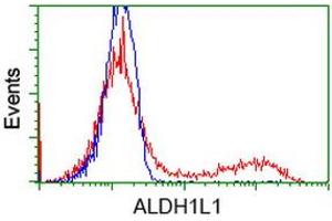 HEK293T cells transfected with either RC213720 overexpress plasmid (Red) or empty vector control plasmid (Blue) were immunostained by anti-ALDH1L1 antibody (ABIN2452751), and then analyzed by flow cytometry. (ALDH1L1 抗体)