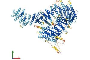 AlphaFold protein structure predicition of Mouse Recombinant Fanci Protein, UniprotID Q8K368
