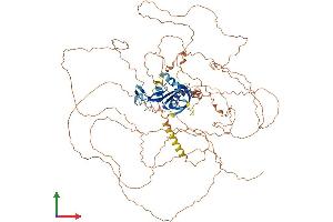 Protein Structure (PS) image for Chromosome 11 Open Reading Frame 82 (C11orf82) (AA 1-898) protein (His tag) (ABIN7557973)