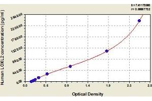 Typical Standard Curve (LOXL2 ELISA 试剂盒)