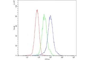 Flow cytometry testing of mouse ANA-1 cells with ARSA antibody at 1ug/10^6 cells (blocked with goat sera) (Arylsulfatase A 抗体)