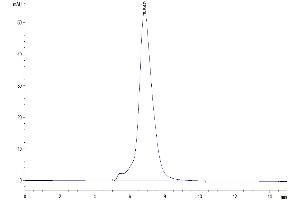 The purity of Human IL-4 R alpha is greater than 95 % as determined by SEC-HPLC.