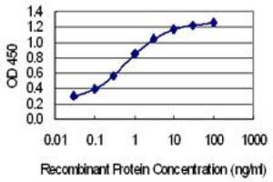 Detection limit for recombinant GST tagged MLXIP is 0. (MLXIP 抗体  (AA 481-577))