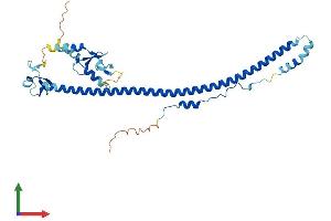 Protein Structure (PS) image for Tripartite Motif Containing 63 (TRIM63) (AA 1-350) protein (His tag) (ABIN7557031)