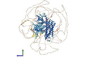 Protein Structure (PS) image for rho Guanine Nucleotide Exchange Factor (GEF) 11 (ARHGEF11) (AA 1-1522) protein (His tag) (ABIN7552207)