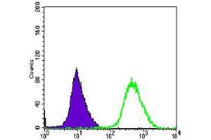 Flow cytometric analysis of Hela cells using MAP2K6 mouse mAb (green) and negative control (purple). (MAP2K6 抗体)
