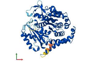 AlphaFold protein structure predicition of Mouse Recombinant Tubb5 Protein, UniprotID P99024