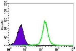 Flow cytometric analysis of K562 cells using HNRNPU mouse mAb (green) and negative control (purple). (HNRNPU 抗体)