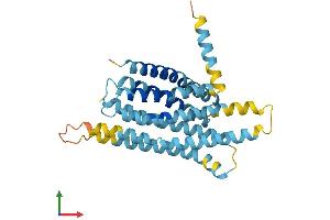 AlphaFold protein structure predicition of Human Recombinant TAS2R5 Protein, UniprotID Q9NYW4