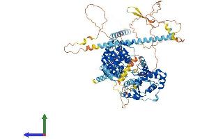 AlphaFold protein structure predicition of Human Recombinant DDX10 Protein, UniprotID Q13206