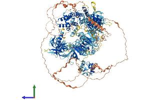 Protein Structure (PS) image for ArfGAP with RhoGAP Domain, Ankyrin Repeat and PH Domain 3 (ARAP3) (AA 1-1538) protein (His tag) (ABIN7564718)