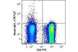 Flow Cytometry (FACS) image for anti-TCR V Alpha24-J Alpha18 antibody (PE-Cy7) (ABIN2659400) (TCR V Alpha24-J Alpha18 抗体 (PE-Cy7))