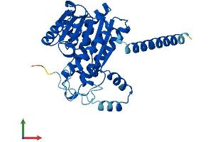AlphaFold protein structure predicition of Mouse Recombinant Sdr16c5 Protein, UniprotID Q7TQA3
