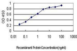 Detection limit for recombinant GST tagged KIF15 is approximately 0. (KIF15 抗体  (AA 1279-1385))