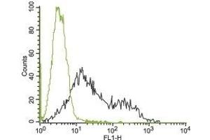 Flow Cytometry (FACS) image for anti-Potassium Voltage-Gated Channel, Subfamily H (Eag-Related), Member 2 (KCNH2) (AA 430-445), (Extracellular) antibody (ABIN7043545)