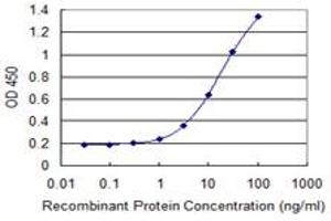 Detection limit for recombinant GST tagged ZNF3 is 0. (ZNF3 抗体  (AA 1-110))