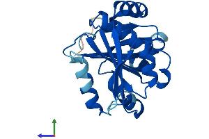 AlphaFold protein structure predicition of Human Recombinant NAT9 Protein, UniprotID Q9BTE0
